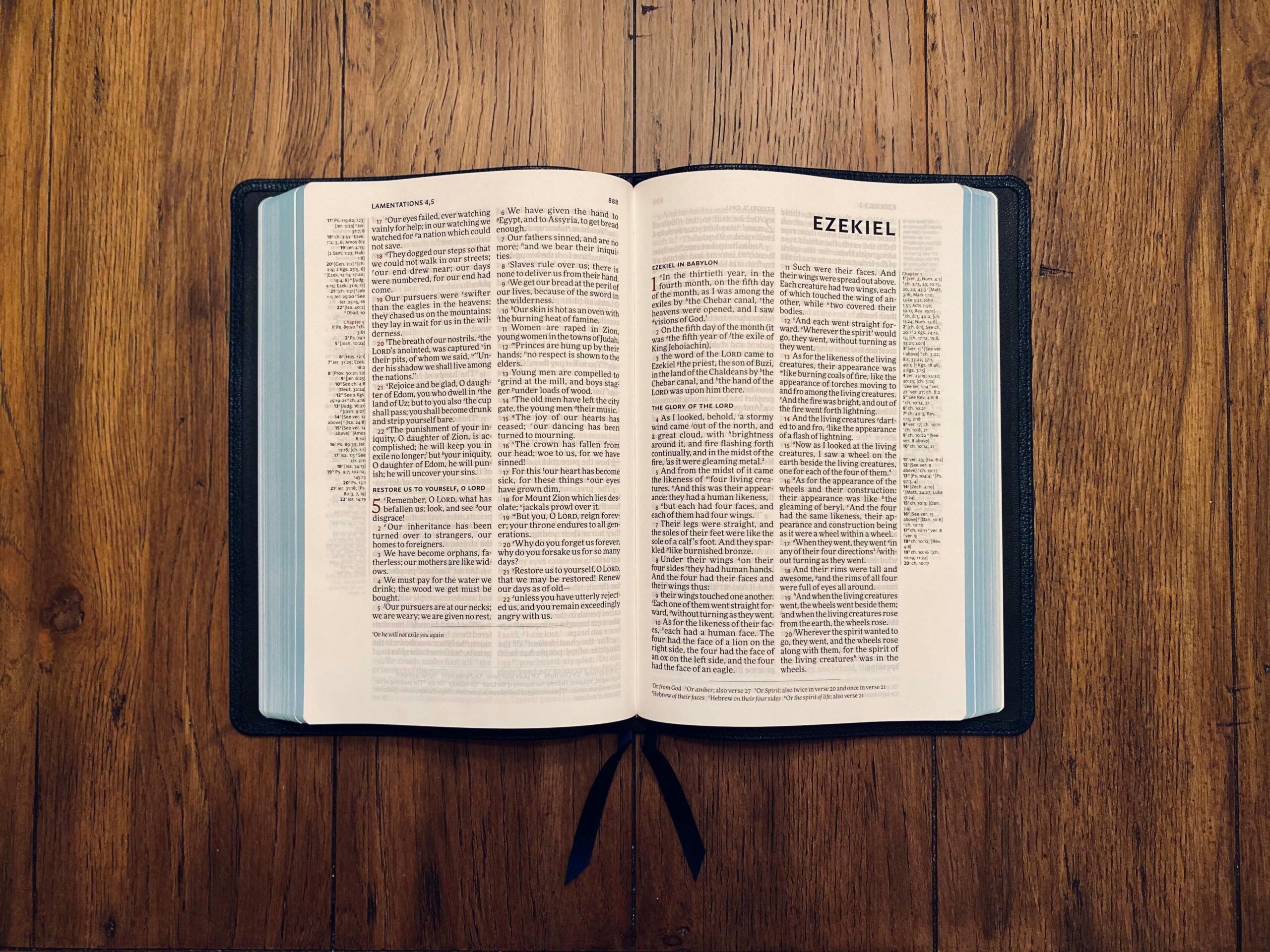 pexels pexels user 3493149 5217398