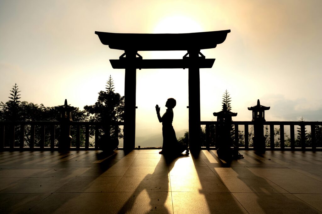 pexels quang nguyen vinh 222549 11331526