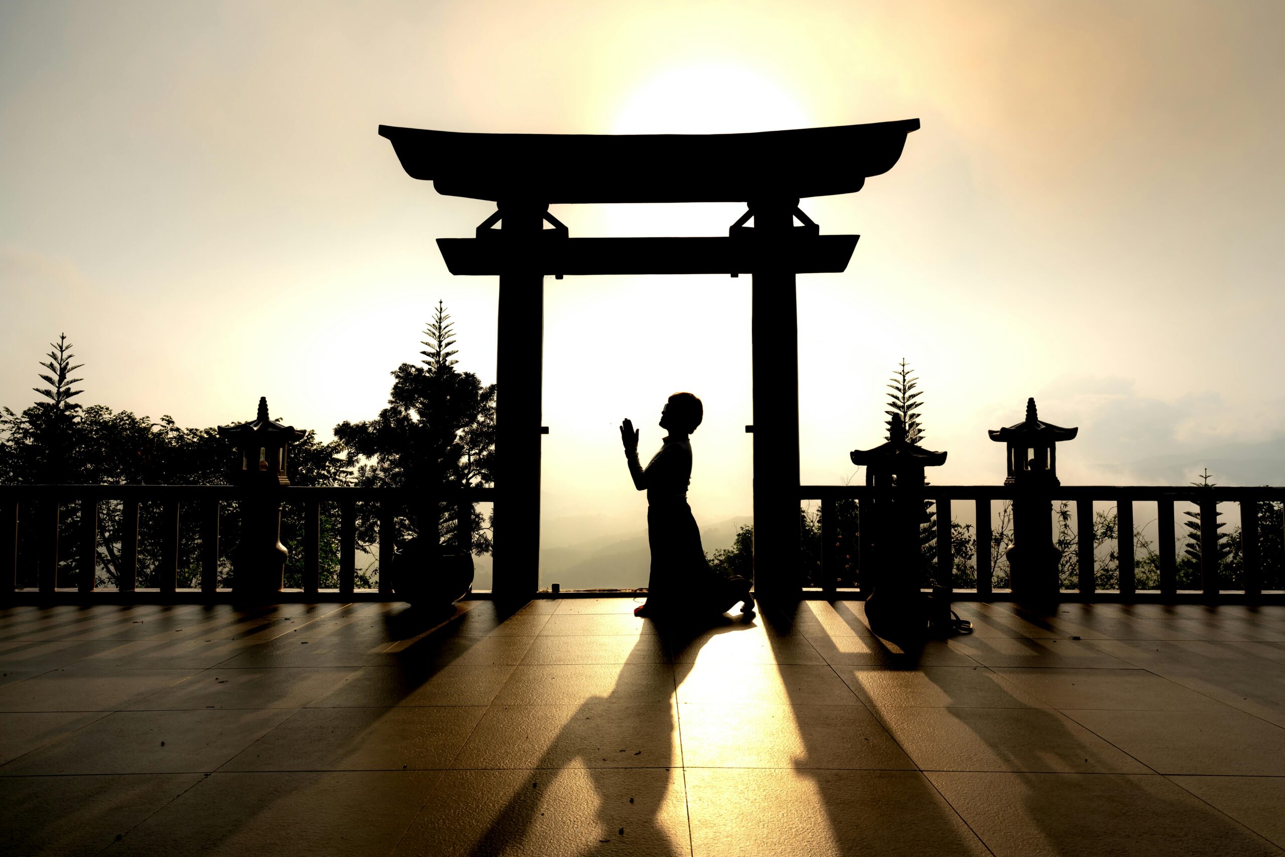 pexels quang nguyen vinh 222549 11331526